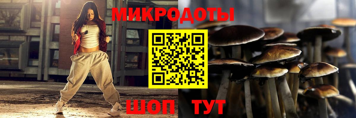 Новоуральск  Галлюциногенные грибы прущие грибы  Вход с VPN 