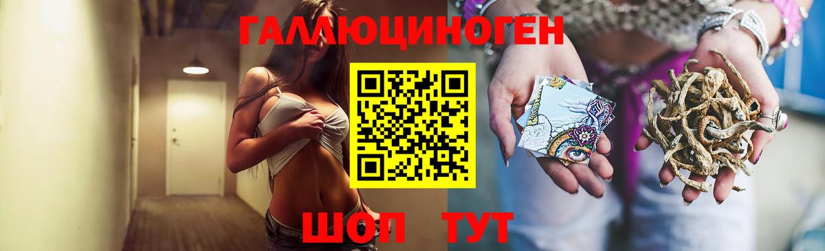 Галлюциногенные грибы Magic Shrooms Новоуральск